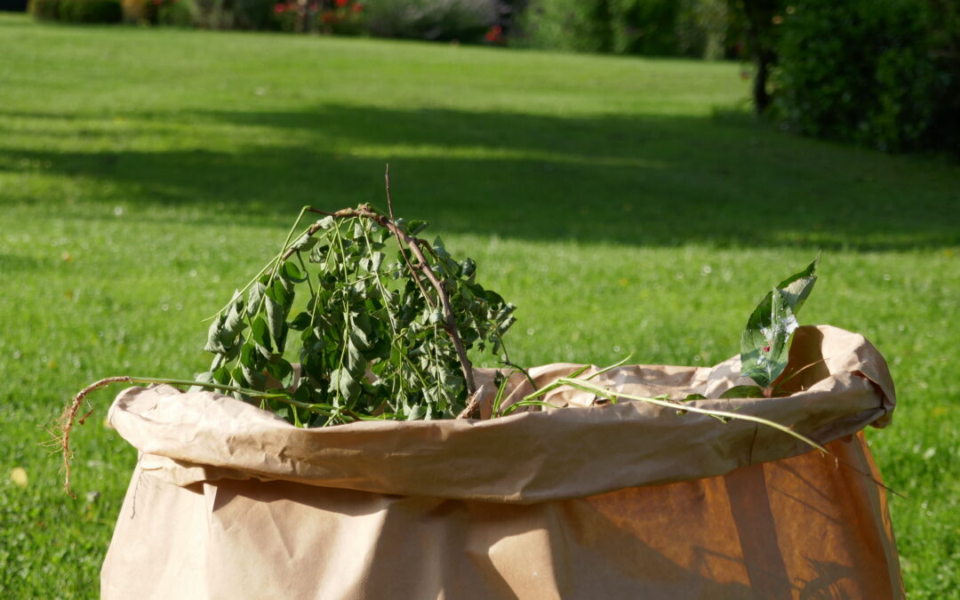 Les sacs en papier déchets verts, l&rsquo;alternative verte